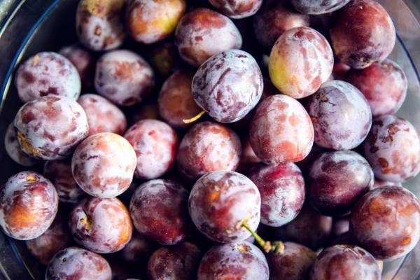 fresh bio plums prune/