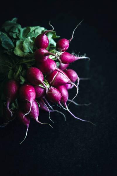 fresh bio radish/