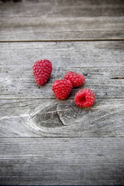 fresh bio raspberry/