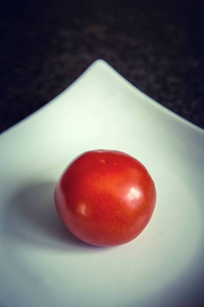 fresh bio tomato self supply/