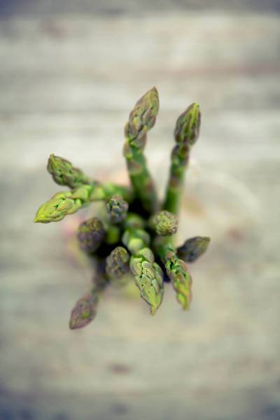 fresh green bio asparagus/