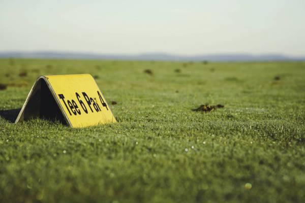 golf green tee par/