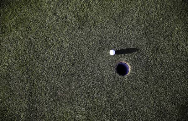 golf put hole green/