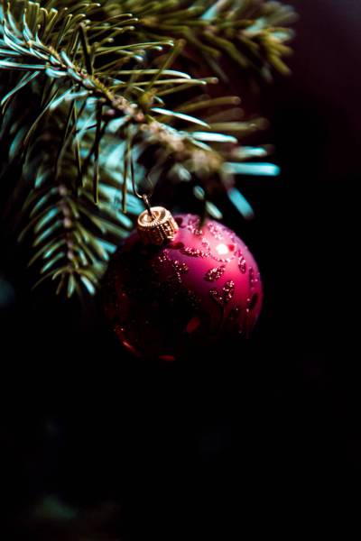 holiday eve ball fir tree xmas/