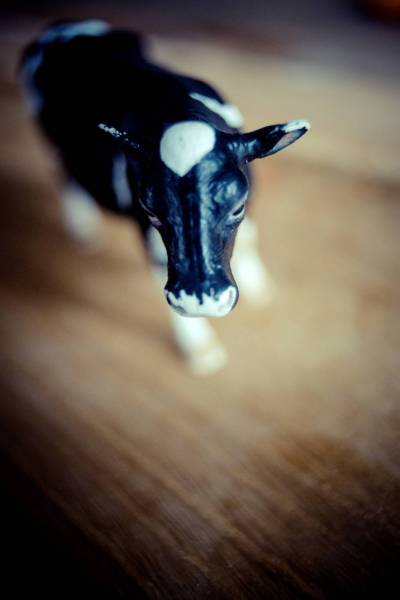 miniature cow beef toy/