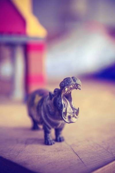 miniature hippo toy/