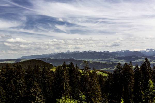 mountain panorama view alps/