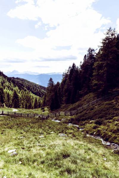 mountain stream south tyrol/