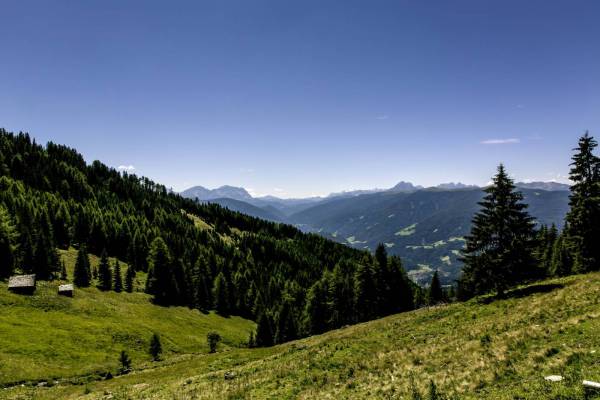 mountain trail path south tyrol/