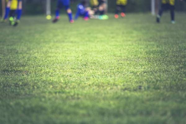 play soccer field team/
