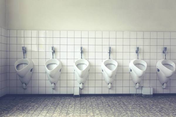 rest room toilet lavatory/