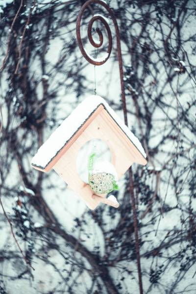 winter birdhouse bird box/