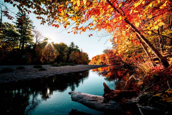 Calm River in the Autumn 