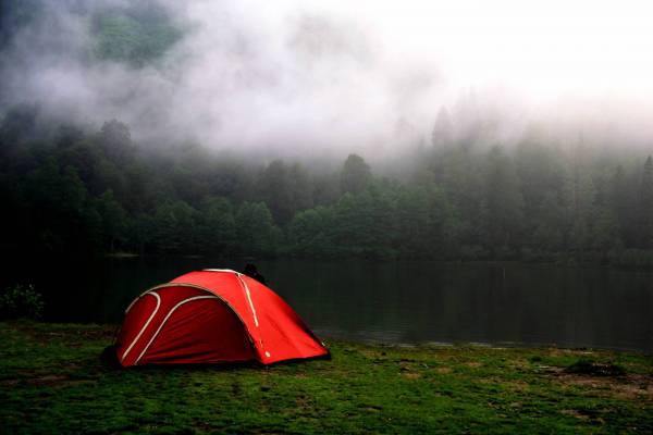 Camping by Foggy ?Forest? in Red Tent Royalty-Free Stock ...