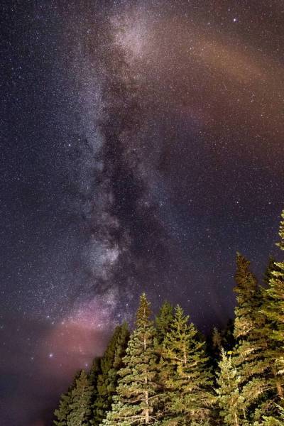 Milky Way ?Forest? 
