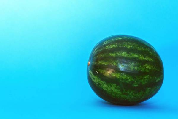 Watermelons on Blue ?Background? Royalty- ...
