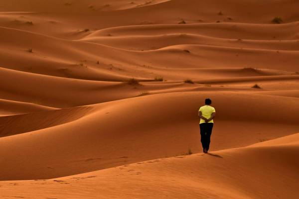 Walking in the Desert 
