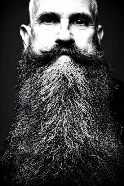 adult portrait beard men males hipster one person