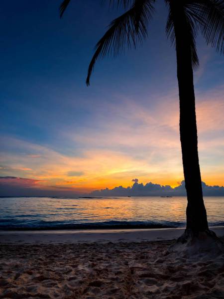 Tropical Beach Sunset 