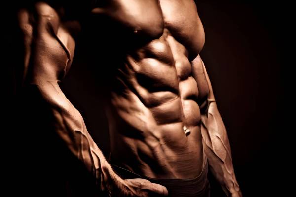sport body building human muscle men muscular build torso abdominal muscle