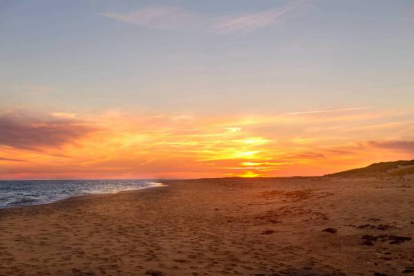 Beach Sunset Sand Royalty-