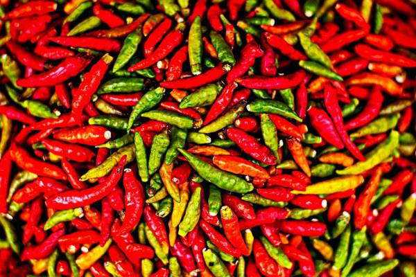 Hot Chilli Peppers 